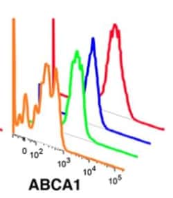 ABCA1 Antibody - BSA Free, Novus Biologicals 0.1mL; Unlabeled:Antibodies,