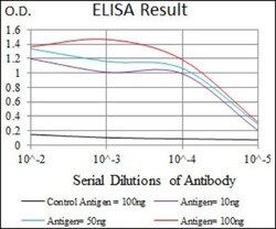 ABCB5 Antibody (5H3C6) - BSA Free, Novus Biologicals 0.1mL; Unlabeled:Antibodies,