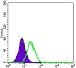 ABCB5 Antibody (5H3C6) - BSA Free, Novus Biologicals 0.1mL; Unlabeled:Antibodies,