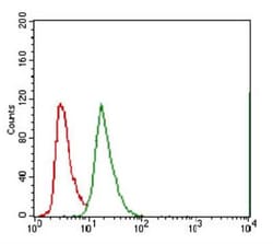 ABCG5 Antibody (1B5E10), Novus Biologicals 0.1mL; Unlabeled:Antibodies,