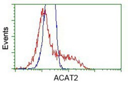 ACAT2 Antibody (OTI3E2), Novus Biologicals 0.1mL; Unlabeled:Antibodies,