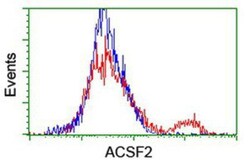 ACSF2 Antibody (OTI6E4), Novus Biologicals 0.1 mL | Buy Online | Novus Biologicals | Fisher Scientific
