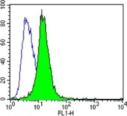 AHR Antibody (RPT9) - BSA Free, Novus Biologicals 0.1mL; Unlabeled:Antibodies,