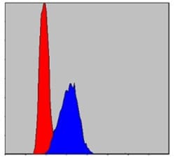 AIF Antibody (4E7), Novus Biologicals 0.1mL; Unlabeled:Antibodies, Monoclonal