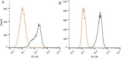 AIP/ARA9 Antibody (35-2), Novus Biologicals 0.025mL; Unlabeled:Antibodies,