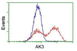 AK3 Antibody (OTI6G4), Novus Biologicals 0.1mL; Unlabeled:Antibodies, Monoclonal