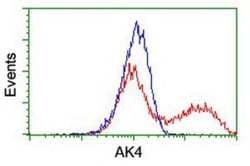 AK3L1 Antibody (OTI3B1), Novus Biologicals 0.1mL; Unlabeled:Antibodies,