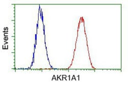 AKR1A1 Antibody (OTI6E3), Novus Biologicals 0.1mL; Unlabeled:Antibodies,