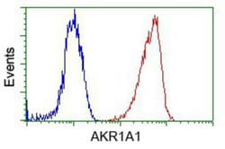 AKR1A1 Antibody (OTI6E3), Novus Biologicals 0.1mL; Unlabeled:Antibodies,