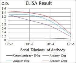 ALCAM/CD166 Antibody (5B3) - BSA Free, Novus Biologicals 0.1mL; Unlabeled:Antibodies,