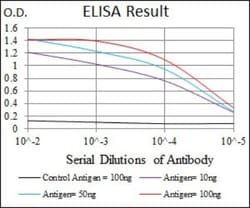 ALCAM/CD166 Antibody (8E12C7) - BSA Free, Novus Biologicals:Antibodies:Primary
