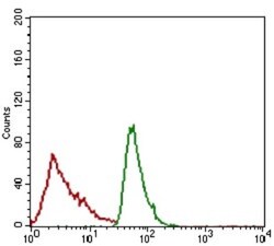 ALCAM/CD166 Antibody (8E12C7) - BSA Free, Novus Biologicals:Antibodies:Primary