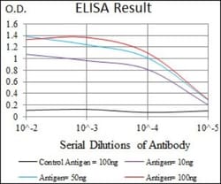 Alkaline Phosphatase, Intestinal Antibody (3B10E7) - BSA Free, Novus Biologicals:Antibodies:Primary