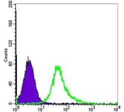 alpha-Smooth Muscle Actin Antibody (4A4), Novus Biologicals:Antibodies:Primary