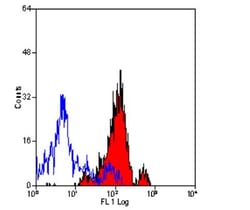 Aminopeptidase N/CD13 Antibody (ER-BMDM1) - BSA Free, Novus Biologicals:Antibodies:Primary