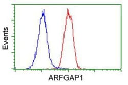 ARFGAP1 Antibody (OTI1F6), Novus Biologicals 0.1 mL | Buy Online | Novus Biologicals | Fisher Scientific