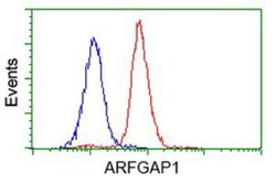 ARFGAP1 Antibody (OTI1F6), Novus Biologicals 0.1 mL | Buy Online | Novus Biologicals | Fisher Scientific