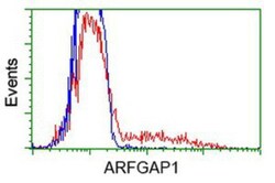 ARFGAP1 Antibody (OTI1F6), Novus Biologicals 0.1 mL | Buy Online | Novus Biologicals | Fisher Scientific