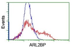 ARL2BP Antibody (OTI1A10), Novus Biologicals 0.1mL; Unlabeled:Antibodies,