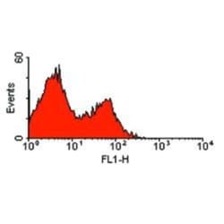 ART2.2/Art2b Antibody (Nika102) - BSA Free, Novus Biologicals 0.125 mg;