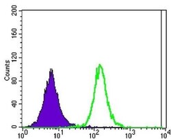 anti-Ataxin 1, Clone: 2F5, Novus Biologicals 0.1mL; Unlabeled, Quantity:
