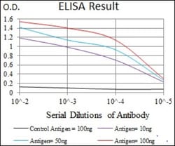 ATP Citrate Lyase Antibody (5F8D11) - BSA Free, Novus Biologicals 0.1mL;