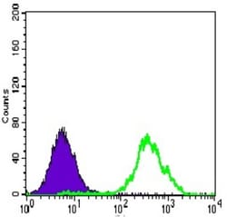 ATP Citrate Lyase Antibody (5F8D11) - BSA Free, Novus Biologicals 0.1mL;