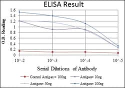 Aurora A Antibody (1F8) - BSA Free, Novus Biologicals:Antibodies:Primary