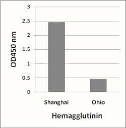 Avian Influenza A H7N9 Hemagglutinin Antibody - (A/Shanghai/02/2013) -