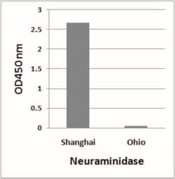 Avian Influenza A H7N9 Neuraminidase Antibody - (A/Shanghai/02/2013) -