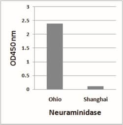 Avian Influenza A H7N9 Neuraminidase Antibody - (A/blue-winged teal/Ohio/566/2006)