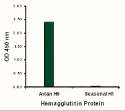 Avian Influenza A H5N1 Hemagglutinin Antibody - BSA Free, Novus Biologicals:Antibodies:Primary