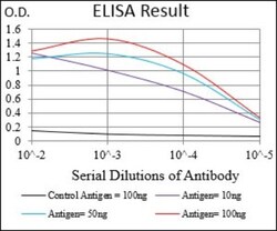 BACE-1 Antibody (3C1C3) - BSA Free, Novus Biologicals:Antibodies:Primary