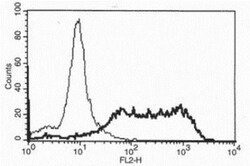 BAFF/BLyS/TNFSF13B Antibody (8F10) - Azide and BSA Free, Novus Biologicals
