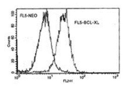 Bcl-xL Antibody (7B2.5), Novus Biologicals 0.05mg; Unlabeled:Antibodies,