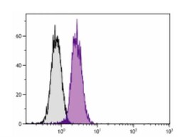 Bcl-xL Antibody (7B2.5), Novus Biologicals 0.05mg; Unlabeled:Antibodies,