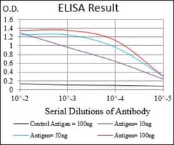 BDNF Antibody (3D9C5) - BSA Free, Novus Biologicals:Antibodies:Primary