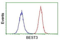 Bestrophin 3 Antibody (OTI2H3), Novus Biologicals 0.1mL; Unlabeled:Antibodies,