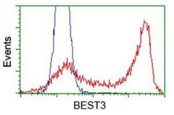 Bestrophin 3 Antibody (OTI2H3), Novus Biologicals 0.1mL; Unlabeled:Antibodies,