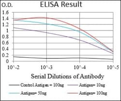 beta 2-Microglobulin Antibody (3G5H8) - BSA Free, Novus Biologicals:Antibodies:Primary