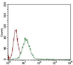 beta 2-Microglobulin Antibody (3G5H8) - BSA Free, Novus Biologicals:Antibodies:Primary