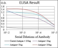 beta 2-Microglobulin Antibody (4G5A1) - BSA Free, Novus Biologicals 0.1mL;