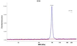 Beta Ig-h3/TGFBI Antibody, Novus Biologicals:Antibodies:Primary Antibodies