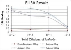 BLNK Antibody (5G9), Novus Biologicals 0.1 mL | Buy Online | Novus Biologicals | Fisher Scientific
