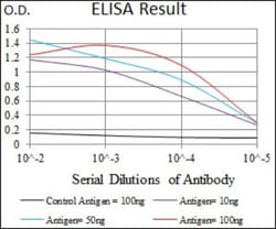BMPR-IA/ALK-3 Antibody (4B7B2) - BSA Free, Novus Biologicals:Antibodies:Primary