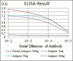 BPIFB1 Antibody (4H2) - BSA Free, Novus Biologicals:Antibodies:Primary
