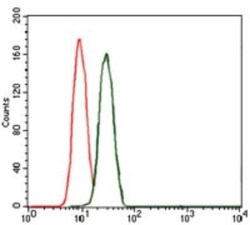 BPIFB1 Antibody (4H2) - BSA Free, Novus Biologicals:Antibodies:Primary