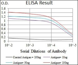 Brachyury Antibody (1H9A2) - BSA Free, Novus Biologicals 0.1mL; Unlabeled:Antibodies,