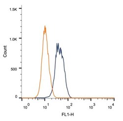 BRCA1 Antibody (RAY) - BSA Free, Novus Biologicals:Antibodies:Primary Antibodies