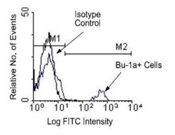 Bu-1a Antibody (21-1A4), FITC, Novus Biologicals 0.25mg; FITC:Anticuerpos